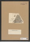 Triceratium ? uncinatum A. Schm. (de-Toni-Nr.: Genus 140, Species 3755) Zeichnungen Sammlung Grunow Nr. 7270 (NHMW-BOT-W0376282)